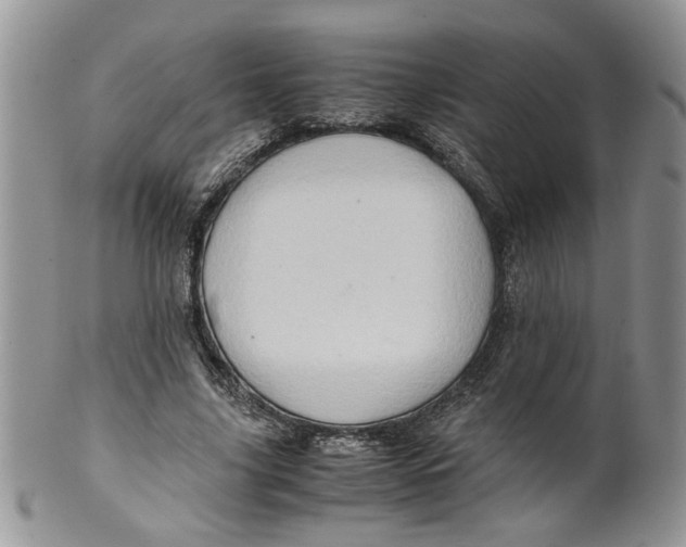 X0000099490635200806051059