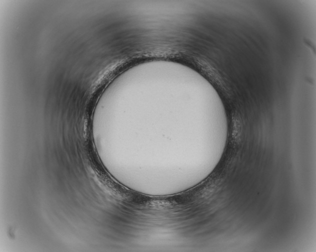 X0000099490636200806051059