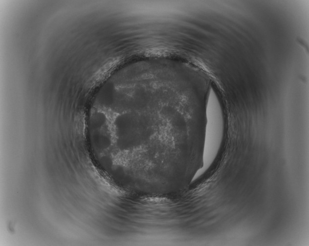 X0000099490637200806051059