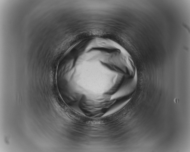 X0000099490639200806051059