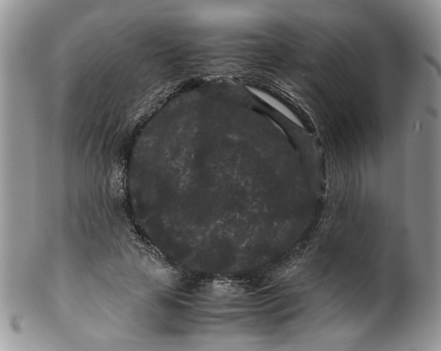 X0000099490641200806051059