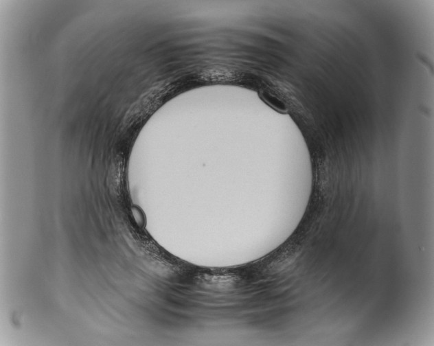 X0000099490645200806051059