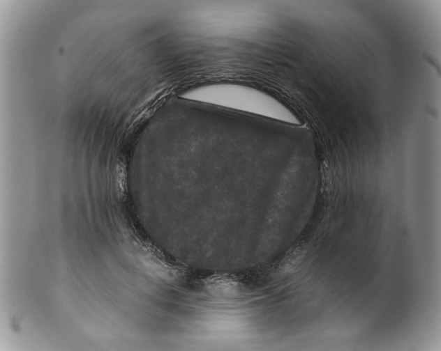 X0000099490648200806051100