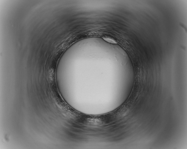 X0000099490649200806051100