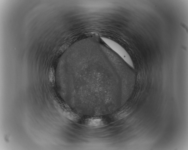 X0000099490651200806051100