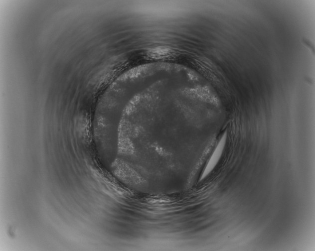 X0000099490653200806051100