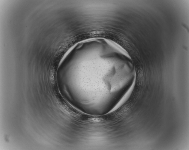 X0000099490654200806051100