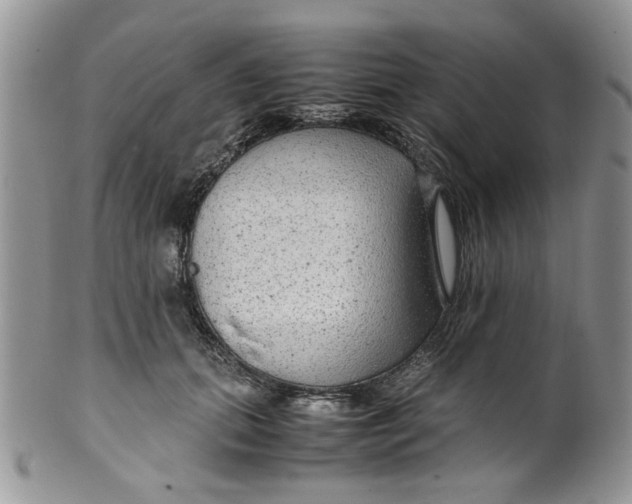 X0000099490655200806051100