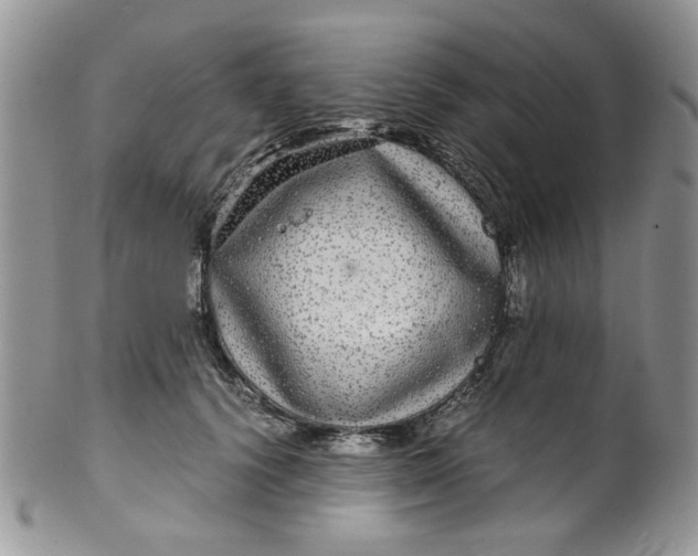 X0000099490656200806051100