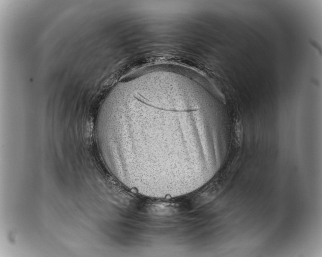 X0000099490657200806051100