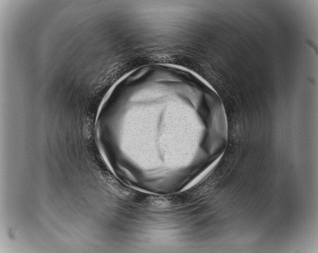 X0000099490658200806051100