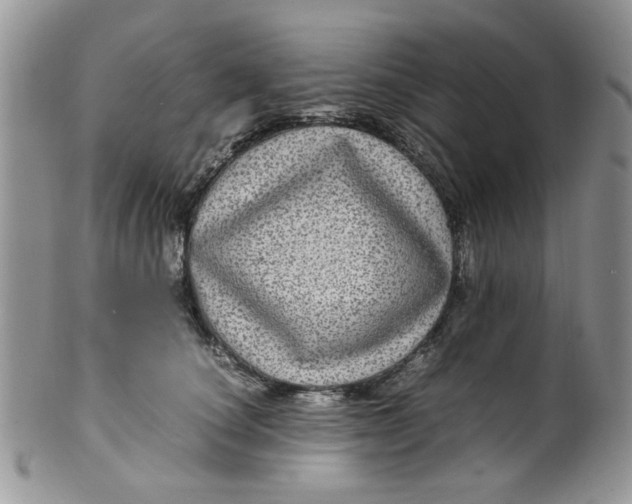 X0000099490660200806051100