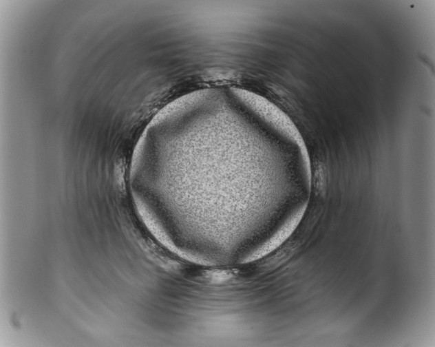 X0000099490662200806051100