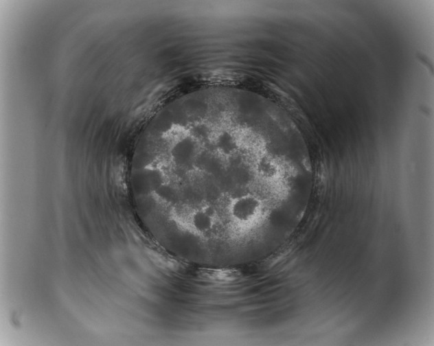 X0000099490663200806051100