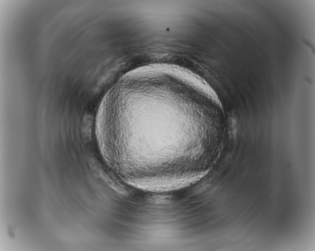 X0000099490664200806051100