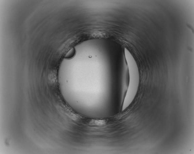 X0000099490665200806051100