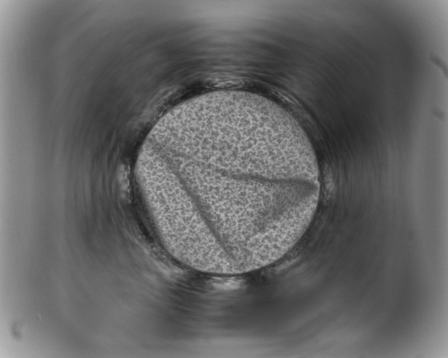 X0000099490667200806051100