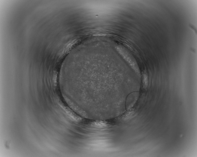 X0000099490668200806051100