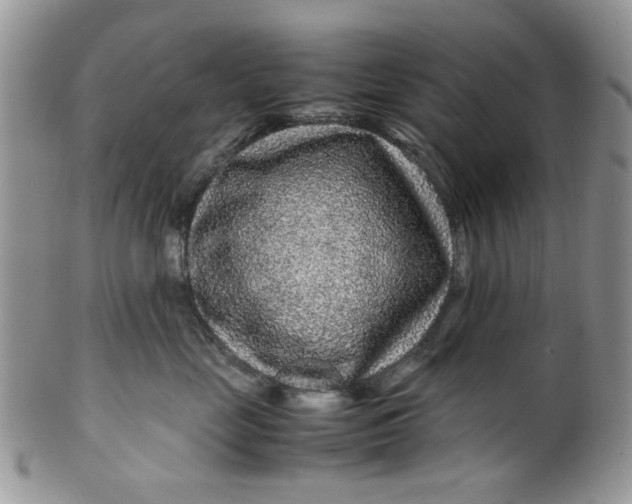 X0000099490669200806051100