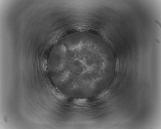 X0000099490671200806051100