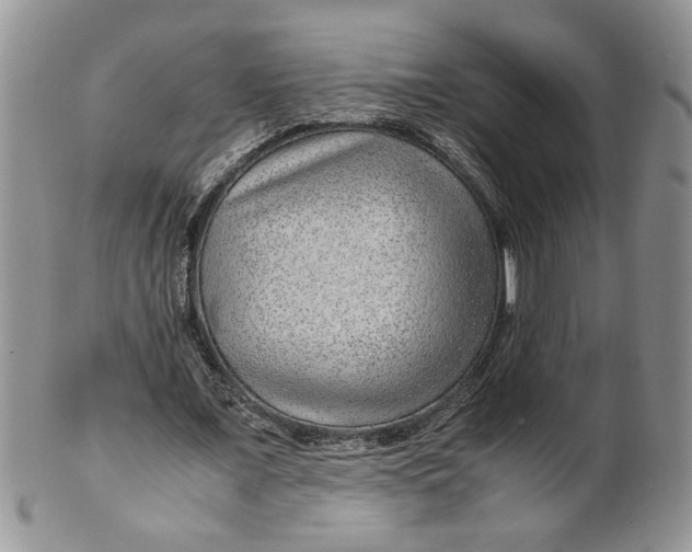 X0000099490675200806051059