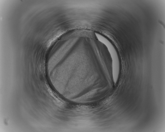 X0000099490677200806051059