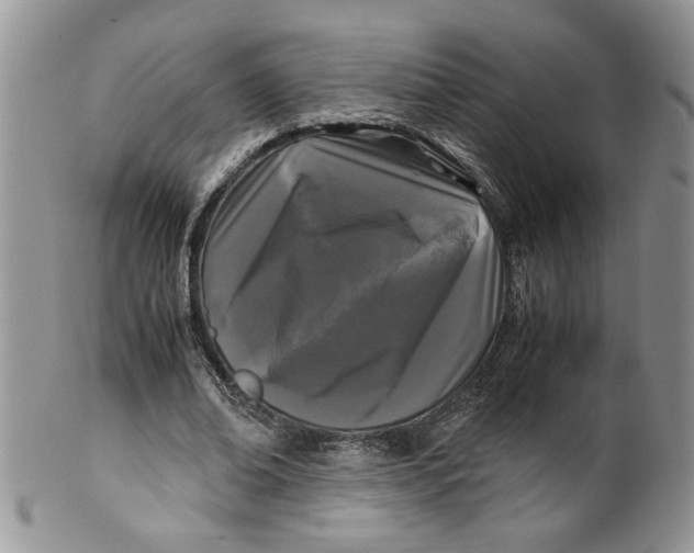 X0000099490678200806051059