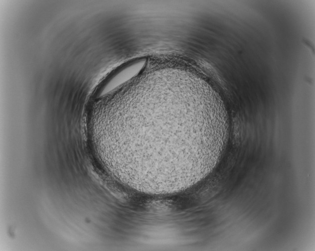 X0000099490680200806051059