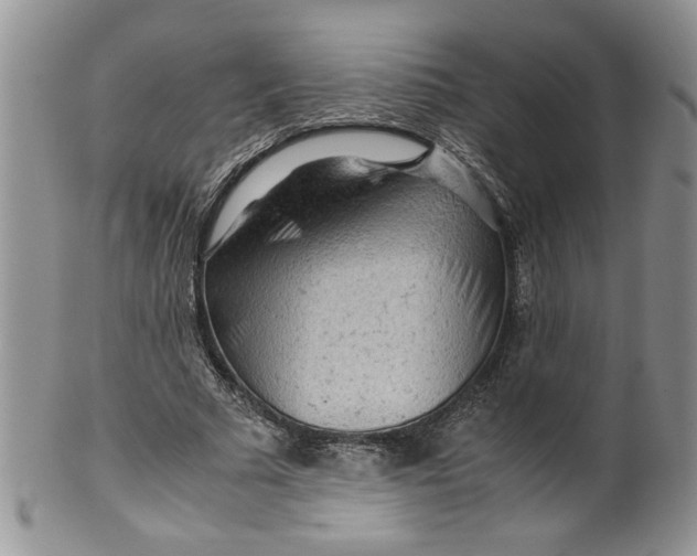 X0000099490681200806051059