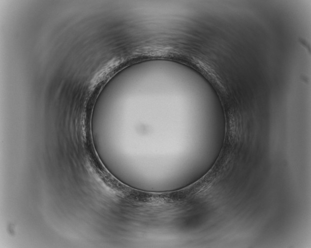 X0000099490682200806051059