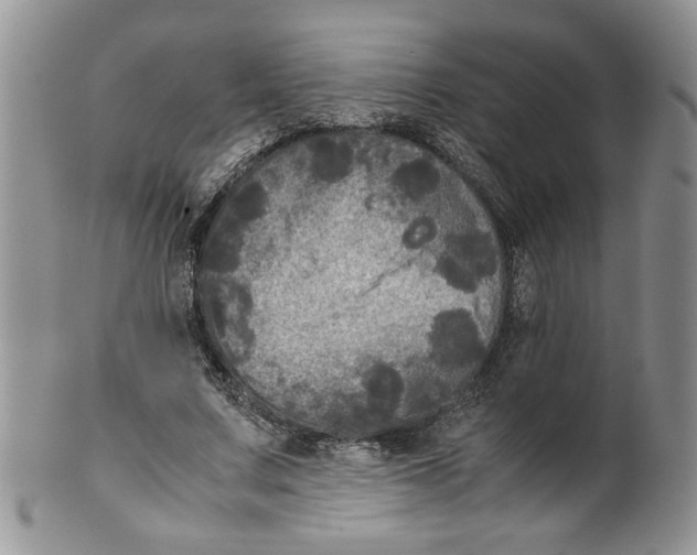 X0000099490683200806051059