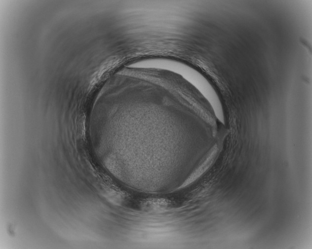 X0000099490685200806051059