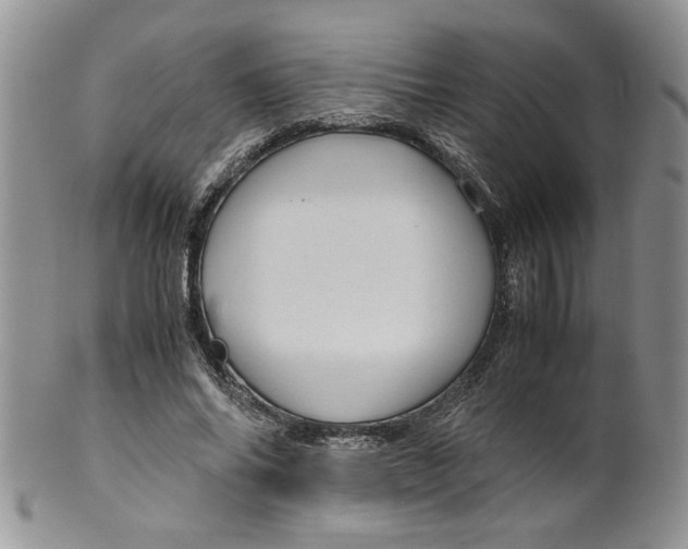 X0000099490686200806051059