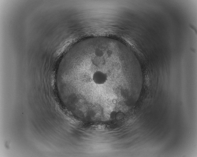 X0000099490687200806051059