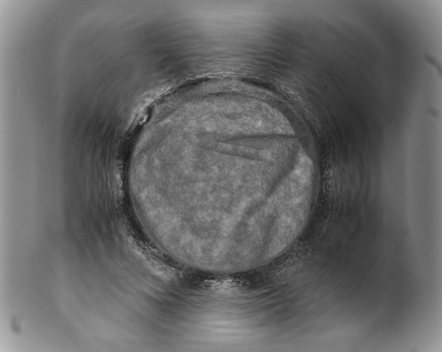 X0000099490688200806051059