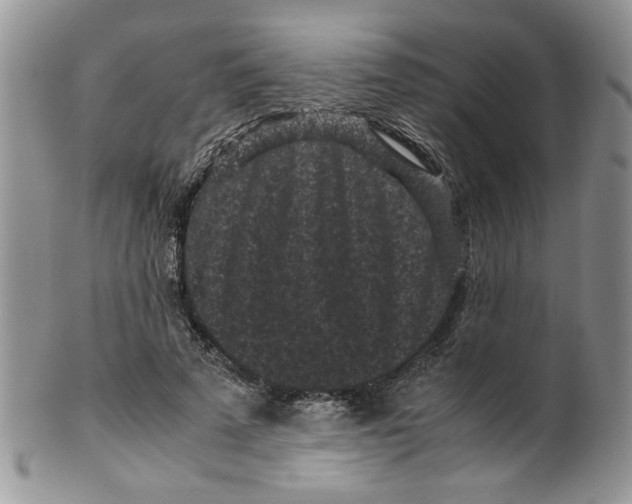 X0000099490689200806051059