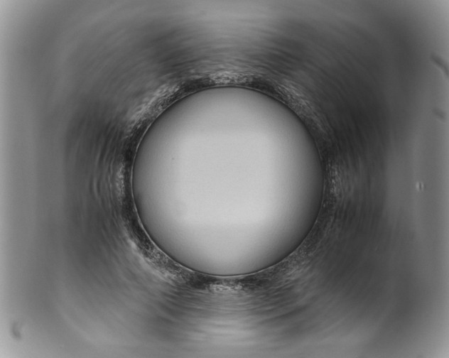 X0000099490690200806051059