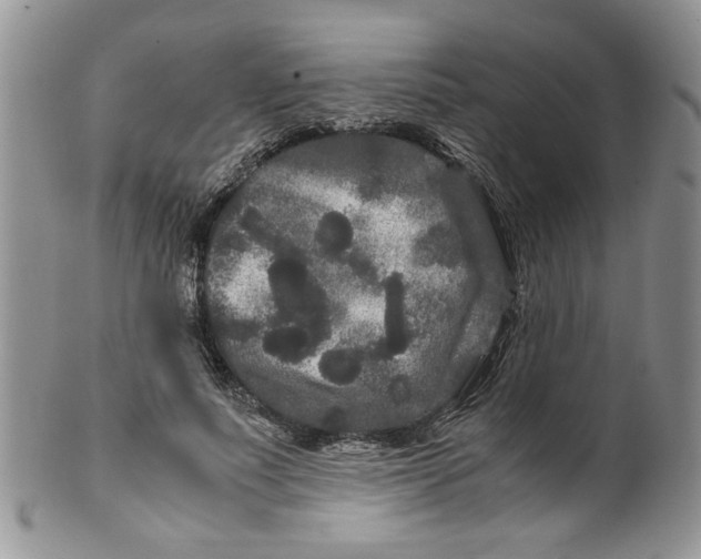 X0000099490691200806051059