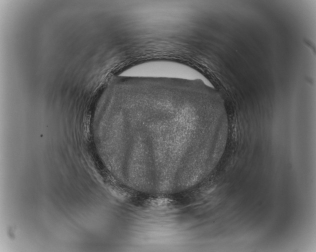 X0000099490695200806051059