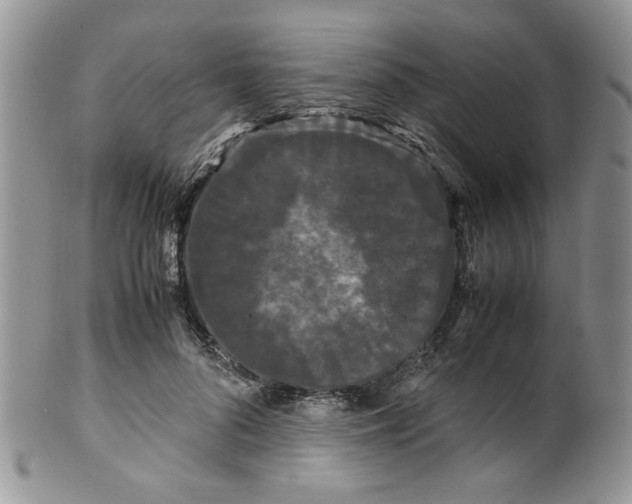 X0000099490696200806051059