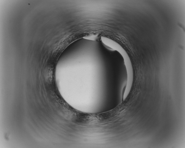 X0000099490697200806051059