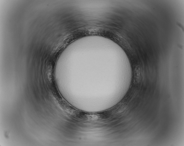 X0000099490698200806051059