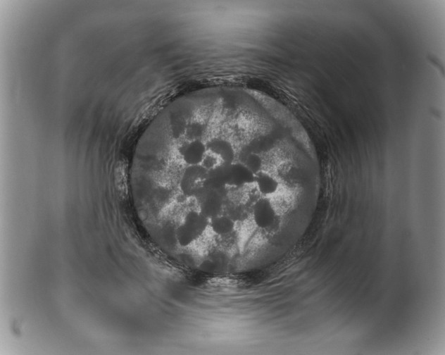 X0000099490699200806051059