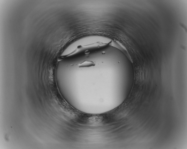 X0000099490700200806051059