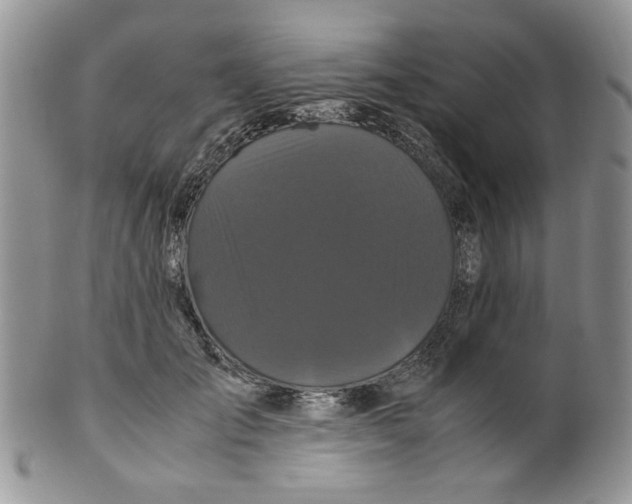 X0000099490701200806051059