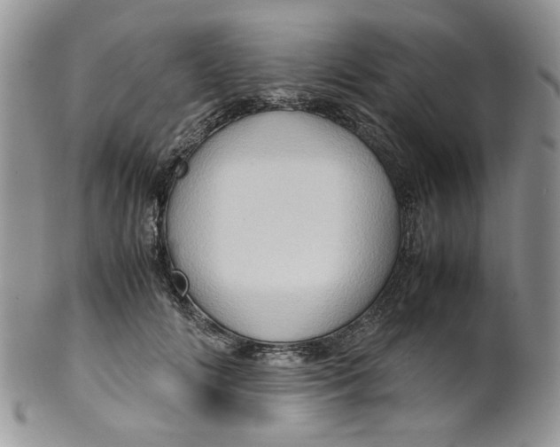 X0000099490702200806051059