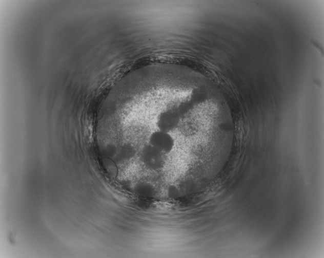 X0000099490703200806051059