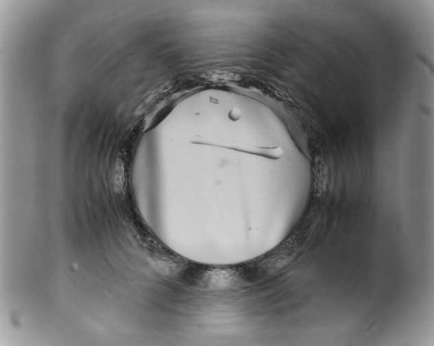 X0000099490704200806051059