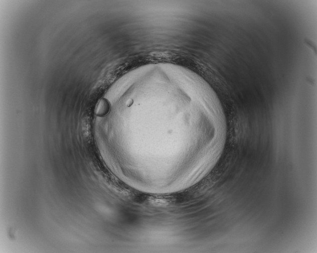 X0000099490706200806051059