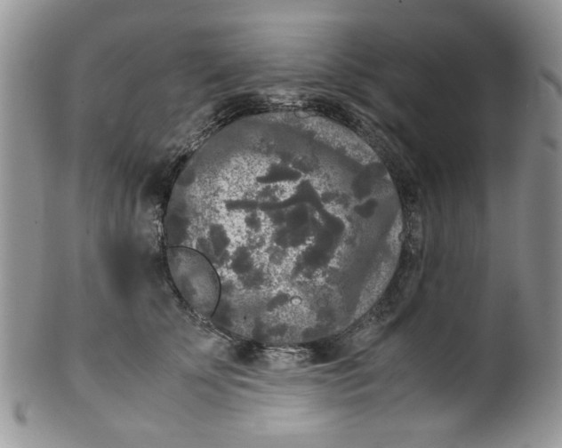 X0000099490707200806051059